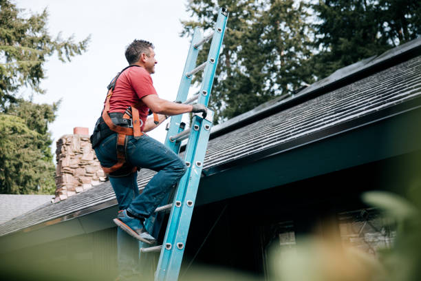 Professional Roof Repair & Installaion in Park Layne, OH